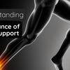 Understanding the Importance of Ankle Support